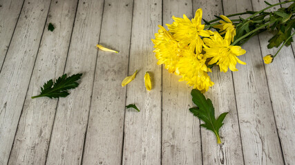bouquet of yellow chrysanthemums on a gray wooden background