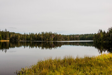 étang de la gruère, la gruère, See, Moorsee, Moor, Weiher, Hochmoor, Wanderweg, Spiegelung, Wald, Waldweg, Wasserpflanzen, Torfmoos, Jura, Naturschutz, Sommer, Herbst, Herbstfarben, Schweiz