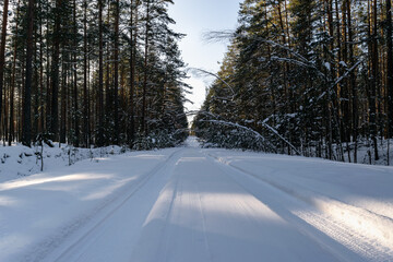 Snow-covered road in the winter coniferous forest. Winter landscape. Extreme driving, 4x4.