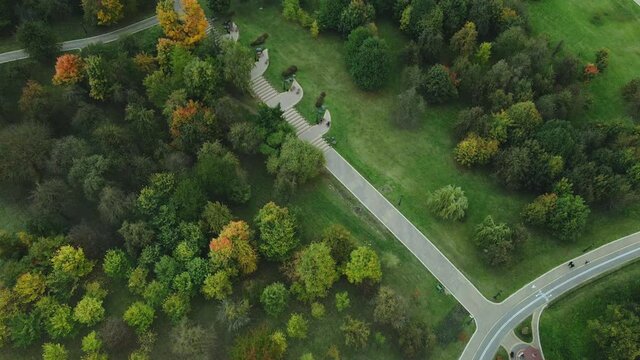 Flight over the autumn park in cloudy weather. Trees with yellow autumn leaves are visible. Walking paths of the park. Aerial photography.