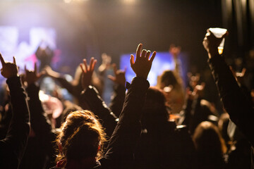 crowd at concert and silhouettes in stage lights