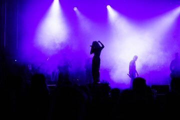 Obraz na płótnie Canvas crowd at concert and silhouettes in stage lights