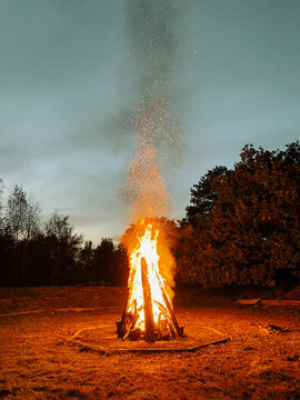 fire in the forest