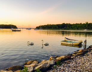 Pastel orange sunset at the harbor with Mute swan pair (Cygnus olor) and old fishermen dinghies.  Copy space..  Setauket Harbor, Long Island, New York.