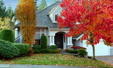 Suburban home during late autumn season as leaves turn bright red - 459791876