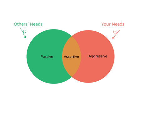 the assertiveness which is combines of aggressive and passive
