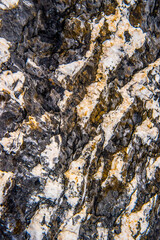 Texture
