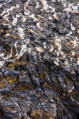 Texture