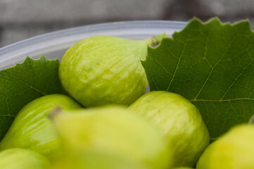 fresh figs close up