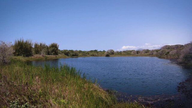 Lago pequeno com vegeta&ccedil;&atilde;o ao redor