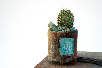 Cactus and Chrysocolla stone. Desert Botanical Still Life Photography