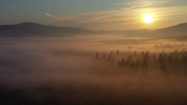 Aerial view of a magic sunrise in a valley and a forest in the early morning fog. Carpathian Mountains, Transylvania, Romania. Exact location is the area of Hargita.
