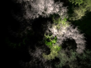Imaginatory fractal abstract background Image
