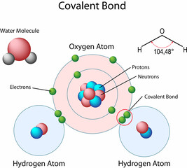 covalent bond of water diagram