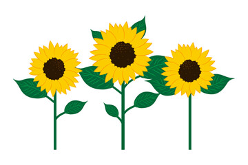 Sunflower icon. Flower stem. Nature concept. Agriculture background. Hand drawn picture. Vector illustration. Stock image. 