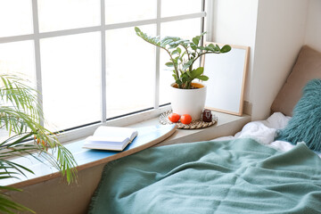 Surfboard with book and houseplant on window sill in bedroom