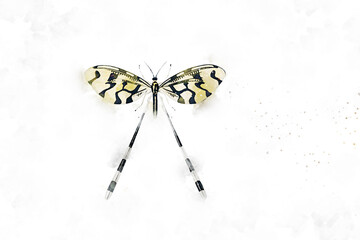 All kinds of beautiful watercolor butterfly illustrations