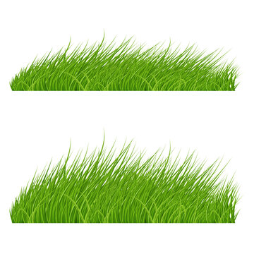 Fresh Green Grass Elements for Spring Design. Organic Food Design Template. Natural Border for Decoration in Your Works