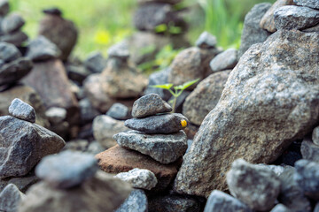 한국 사찰 소원탑 무당벌레