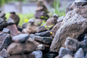 한국 사찰 소원탑 무당벌레