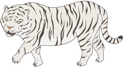 ホワイタイガー　動物