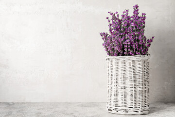 Wicker vase with beautiful lavender flowers on light background
