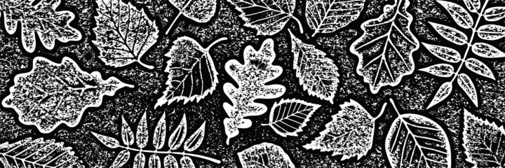 Naklejka premium Autumn background of dry leaves, vector design, shades of gray, banner