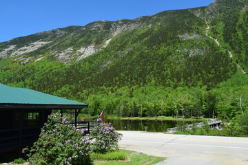 lake in the mountains in the summer