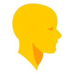 human head illustration
