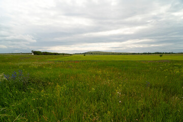 Natural landscape with a green field under a blue sky