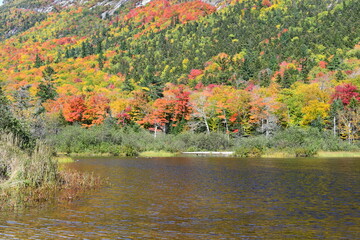 autumn landscape with trees and lake