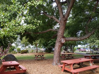 bench in the park