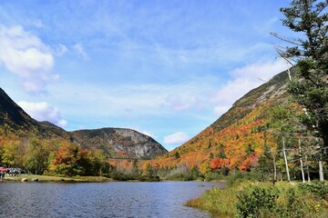 autumn landscape with lake