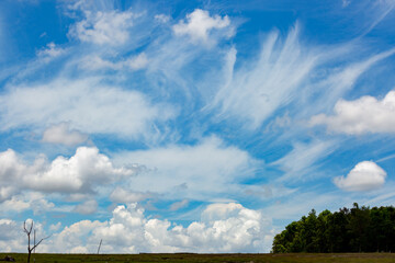 blue sky background with tiny clouds.