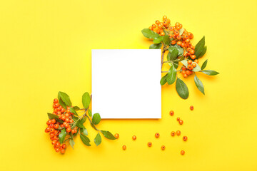 Composition with rowan berries and blank card on yellow background