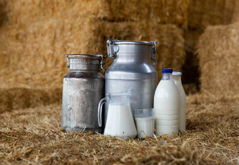Fresh milk in glass carafe, bottles and aluminum cans standing on hay on farm hayloft. Natural...