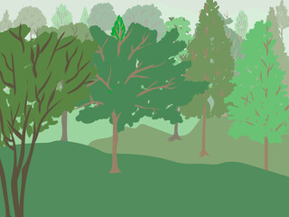 Obraz premium illustration of forest trees in shades of green