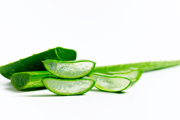 Fresh natural Aloe vera slice on white background. Concept for herbal medicine for skincare and hair care.