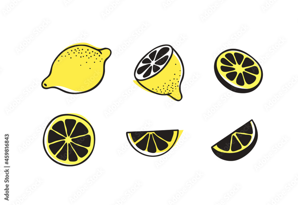 Wall mural doodle lemon. hand drawn stylish fruit and vegetable. vector artistic drawing fresh organic food. su