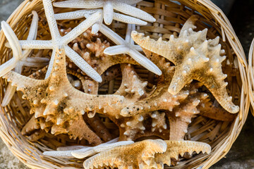 Many starfishes for sale at the street shop