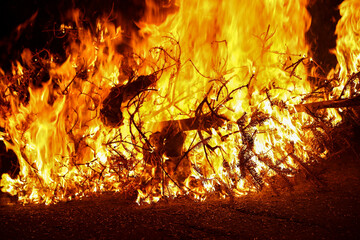Christmas tree burning. Latin American tradition of burning Christmas trees
