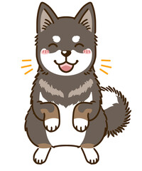 喜ぶ四国犬