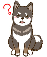 疑問に思う四国犬