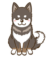 おじぎする四国犬