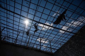 View of the blue sky through the bars of the prison cell