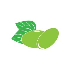 Soybean icon logo vector