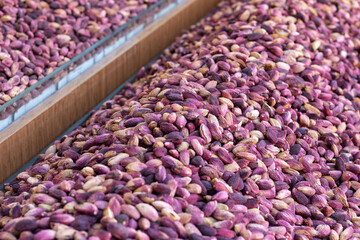 Top view of fresh pistachios. Harvest of organic pistachio nuts.