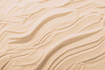 Fototapeta na wymiar Abstract sand texture. Natural sandy background for product presentation. Top view frame