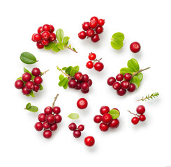 Fresh wild lingonberry berries with stem and leaves isolated on white background. Set of red cowberry and cranberry with a soft shadow. Top view