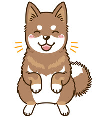 喜ぶ四国犬（赤胡麻）